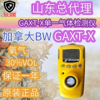 江苏省加拿大BWGAXT-X单一氧气气体检测仪