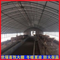 新型养牛大棚搭建 肉牛养殖棚建设 养牛棚规划设计图纸