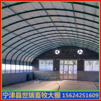 建设肉牛舍大棚 黄牛养殖大棚搭建 养牛大棚施工安装