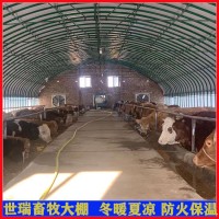 新式养牛大棚搭建 养牛场牛棚规划 牛棚施工安装